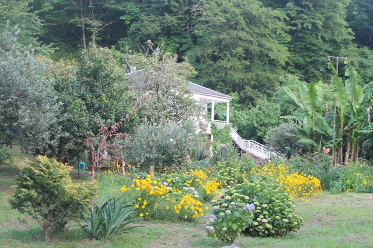 Фото Гостевого дома Место под солнцем Lidzava 10